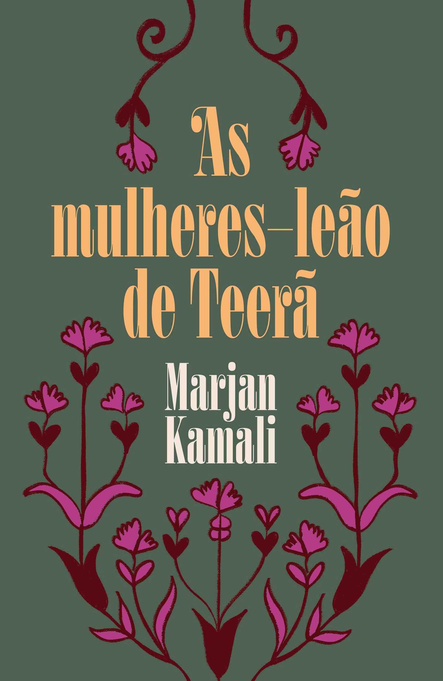capa: As mulheres-leão de Teerã