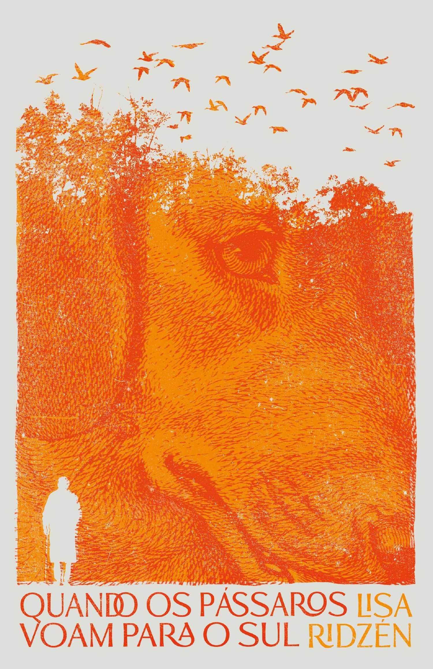 capa: Quando os pássaros voam para o sul